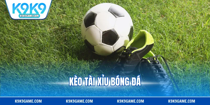 Kèo Tài Xỉu Bóng Đá - Tỷ Lệ Cá Cược Vô Cùng Hấp Dẫn