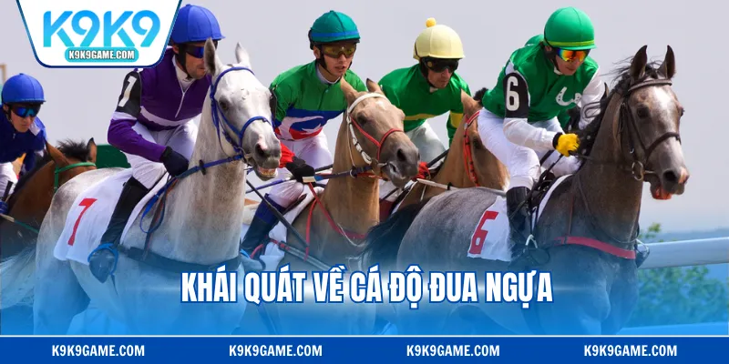 Khái quát về cá độ đua ngựa
