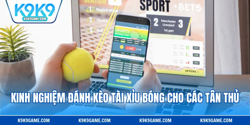 Kinh nghiệm đánh kèo tài xỉu bóng cho các tân thủ
