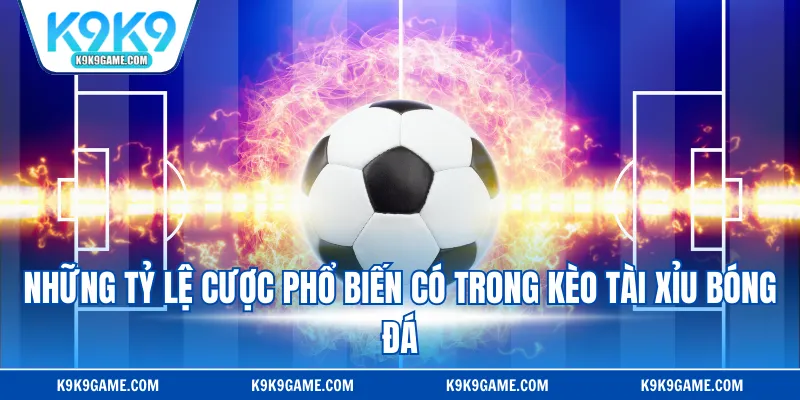 Những tỷ lệ cược phổ biến có trong kèo tài xỉu bóng đá