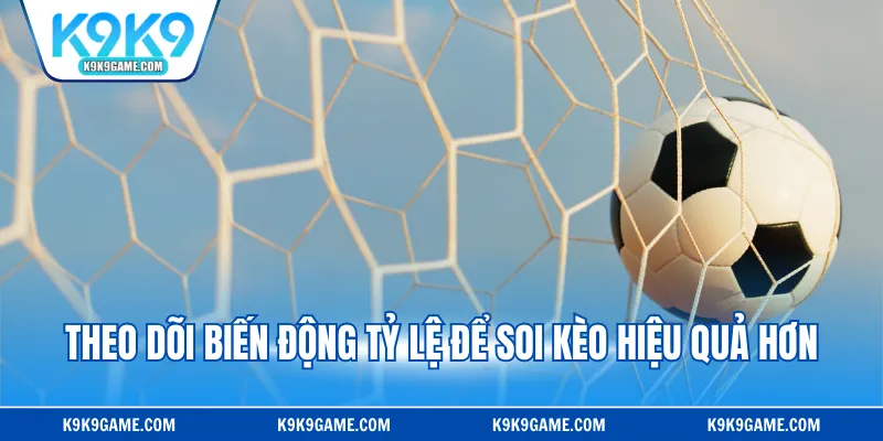 Theo dõi biến động tỷ lệ để soi kèo hiệu quả hơn